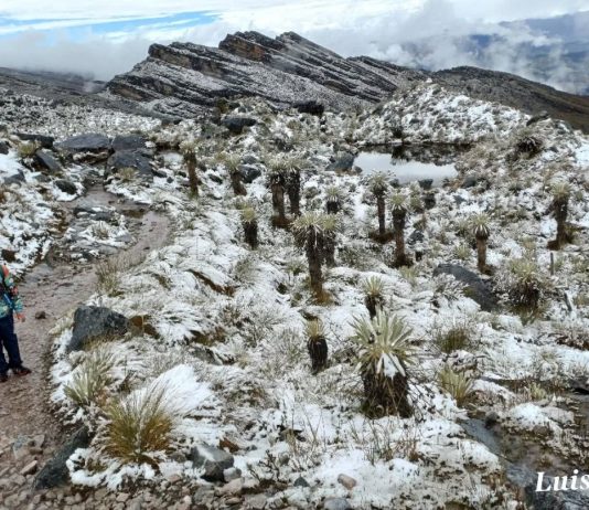 Así fue la nevada en la Sierra Nevada de Güicán