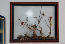 ¿Cortarse el cabello en luna menguante o creciente?