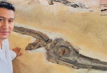 Boyacá entra en la historia de la paleontología continental