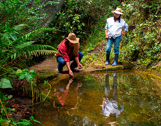 Predios de interés hídrico equivalentes a 124 hectáreas fueron adquiridos por Corpoboyacá