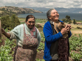 ¿A quién creerle, al Ideam o a las cabañuelas?