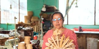 Este domingo de Ramos, Corpochivor promueve la protección de la palma de cera