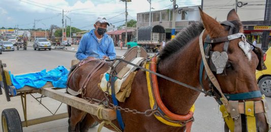 Sogamoso tiene la ruta definida para la sustitución de vehículos de tracción animal