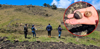 Alerta en Saboyá: actividades agrícolas en páramo ponían en riesgo el agua de la región