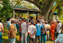 Tierras de paramilitares y narcotraficantes en Puerto Boyacá pasan a la Reforma Agraria Sumario